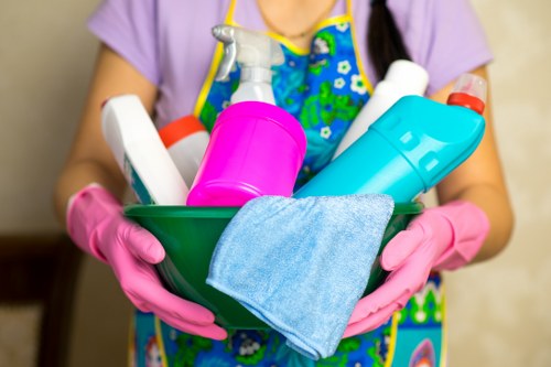Professional carpet extraction for pet stain odour removal in Belgravia