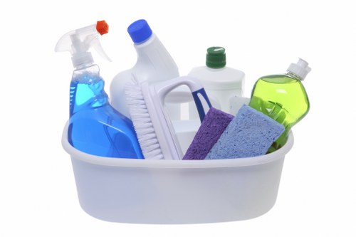 Step-by-step rug cleaning process for delicate and valuable rugs