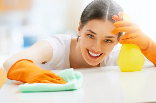Technician assessing upholstery for sofa cleaning