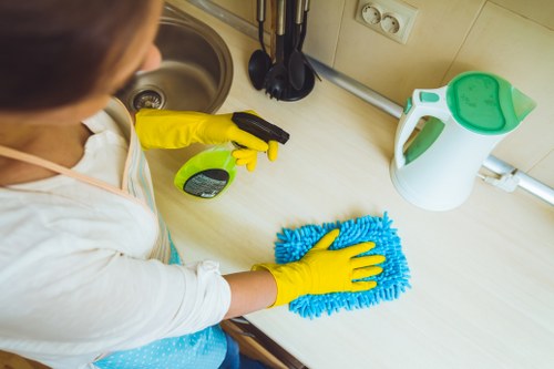 Enzyme cleaning process for pet odour removal on upholstery