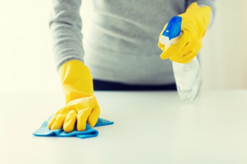 Experienced Belgravia carpet cleaner working carefully in an elegant room