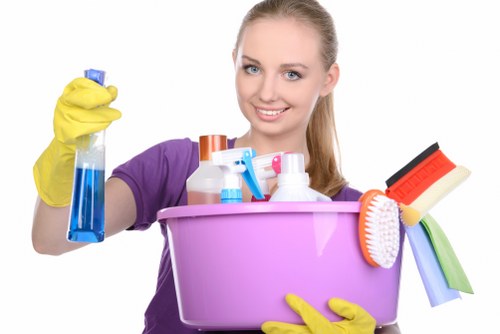 Belgravia Carpet Cleaners payment security with SSL protection