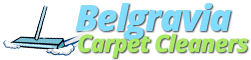 Belgravia Carpet Cleaners